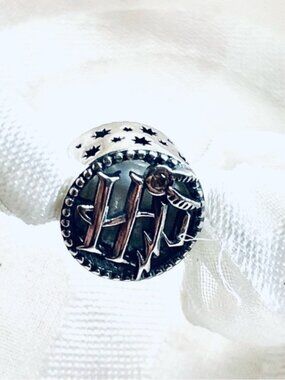 🪶✨ NWOT Harry Potter Charm – Golden Snitch & Hedwig Owl ⚡🦉
